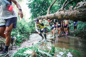 BIB: 
                            <button type="button" onclick="openModal(25469739)" class="btn btn-primary btn-sm float-right btn-popup" data-toggle="modal" data-target=".modal-high-quality">
                        <i class="fas fa-shopping-cart"></i> Add to Cart
                    </button>
                                            <button type="button" onclick="isThisMe(25469739, true)" class="btn btn-success btn-sm float-right btn-popup btn-isme hidden" data-toggle="tooltip" data-placement="bottom" title="นี่คือรูปของคุณใช่ไหม คลิกที่นี่เพื่อเอาเข้าอัลบั้ม">
                        <i class="fas fa-plus"></i> Add to album
                    </button>
                    <button type="button" onclick="isThisMe(25469739, false)" class="btn btn-warning btn-sm float-right btn-popup btn-isnotme hidden">
                        <i class="fas fa-ban"></i> Remove from album
                    </button>